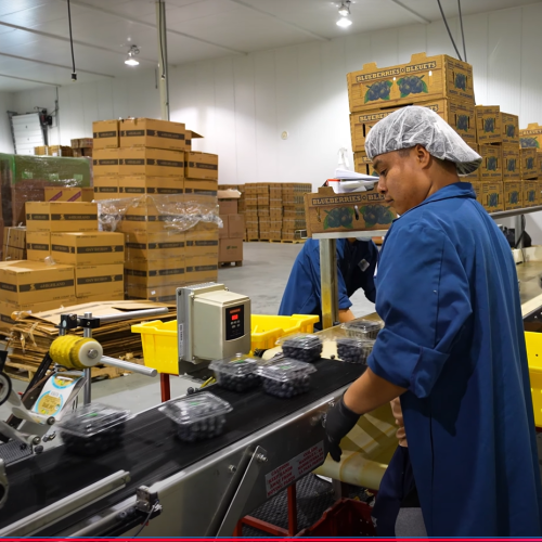 Clearsprings Manufacturing