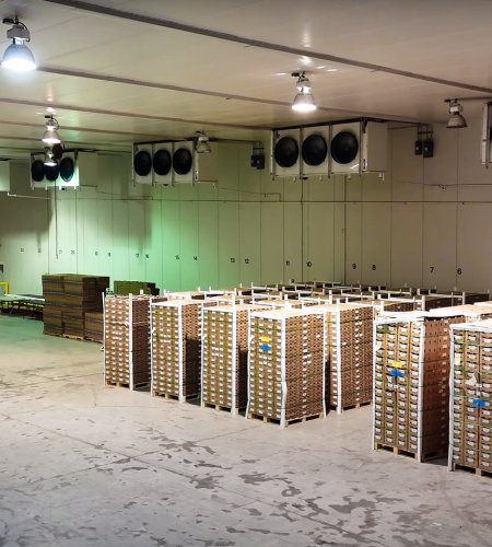 Clearsprings Manufacturing 3